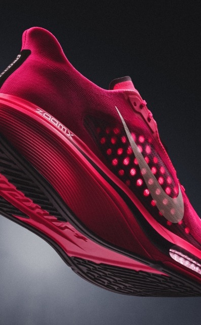 ch_nike pegasus plus 2