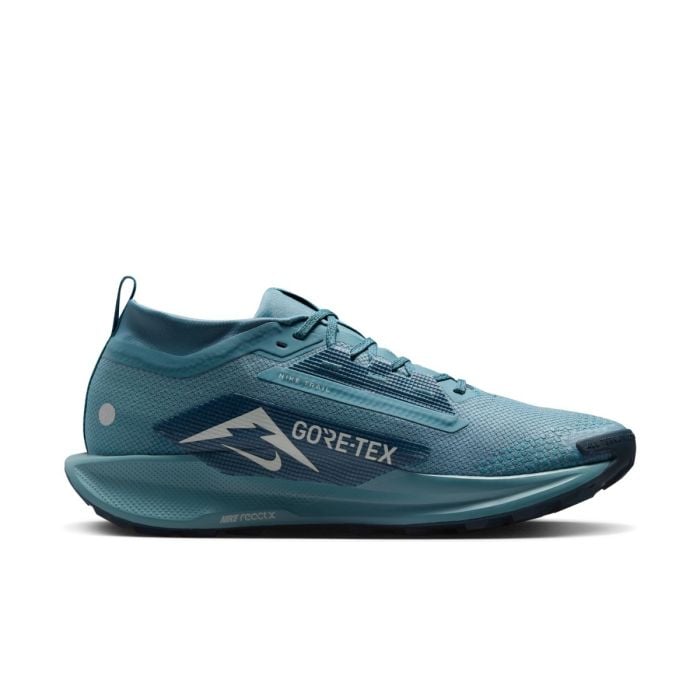 Nike Pegasus Trail 5 Gore-Tex - Men's Blue Trail Running