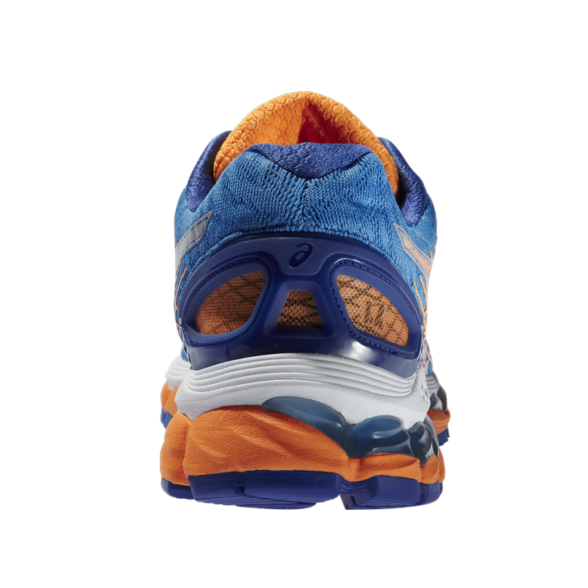 Asics gel nimbus 17 donna 2016 store