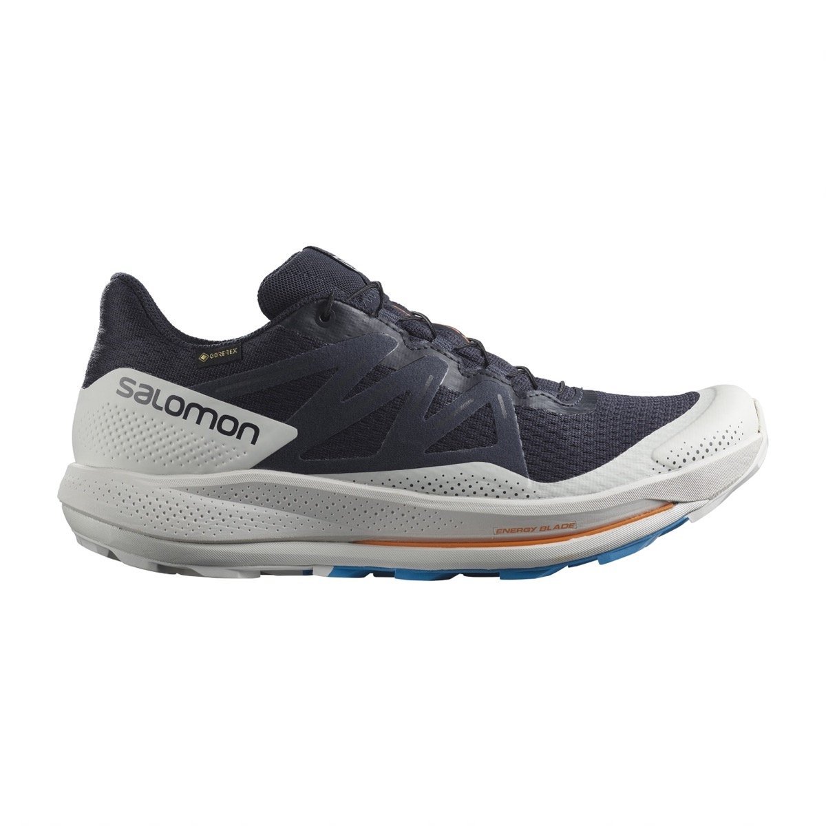 Salomon xa shop ocala gtx