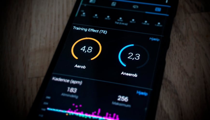 Vreemdeling Metafoor kwaliteit Aerobe en anaerobe training - wat betekent het? - Inspiration