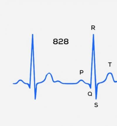 Guida: Misurazioni HRV e allenamento - Quando sono pronto per l'allenamento intenso?