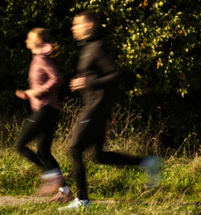 Beste Allround-Laufschuhe – Finde vielseitige Laufschuhe hier