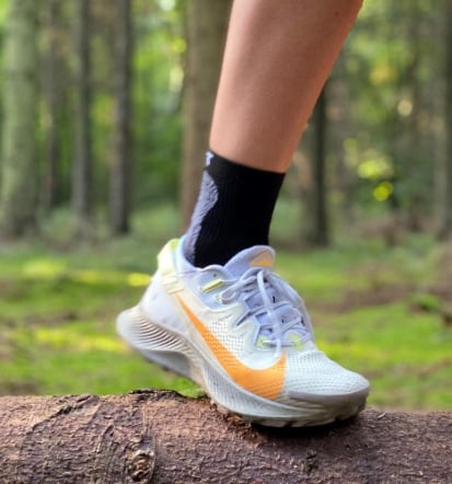 nike pegasus trail on road