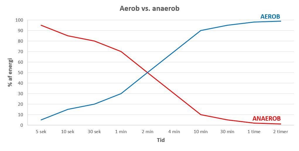 aerob vs anaerob