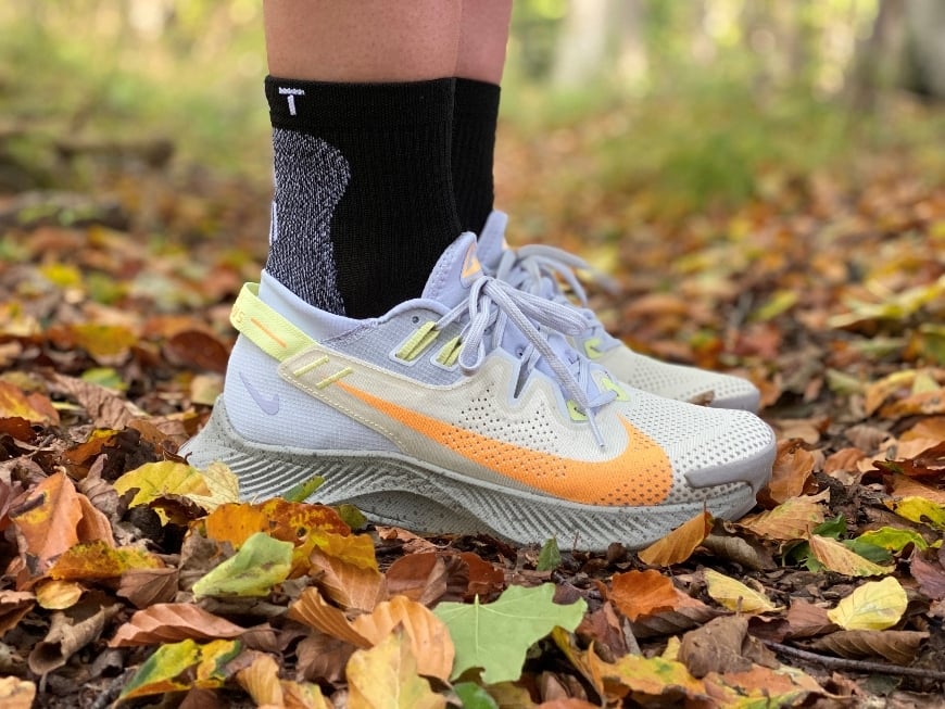 nike pegasus trail on road